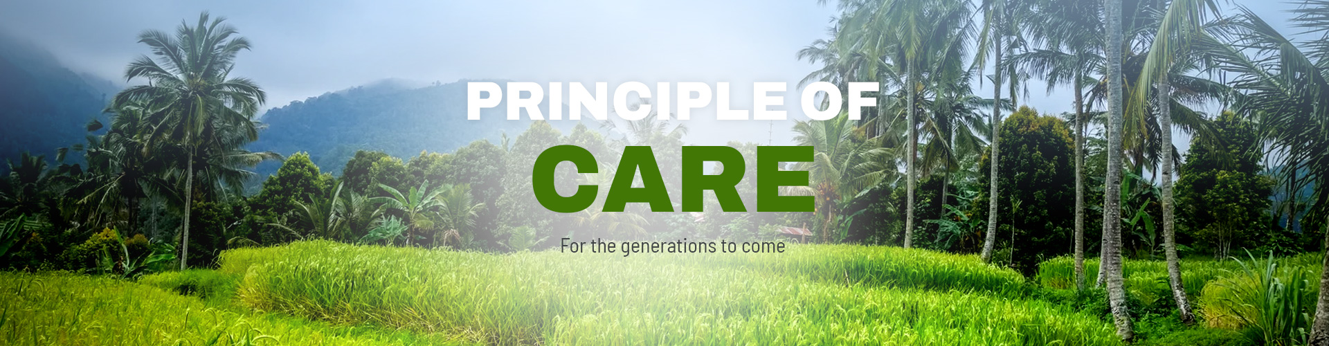 Principle of Care